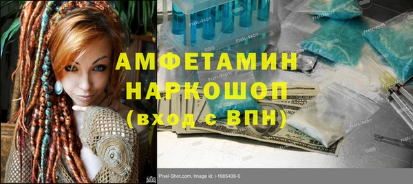 прущие грибы Тында