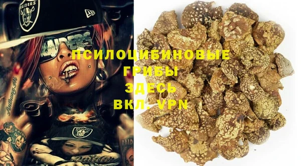первитин Дмитровск