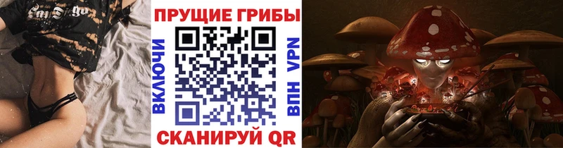купить наркоту  Осташков  Псилоцибиновые грибы Magic Shrooms 