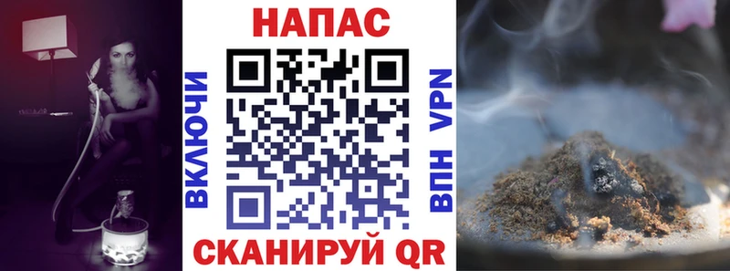 Конопля гибрид  Осташков 